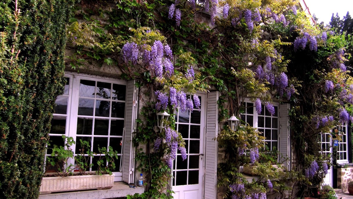 Chateauneuf-la-Foret Bed & Breakfast | Bed and breakfast , chambres d'hotes with swimming pool