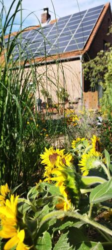 Heek Bed & Breakfast | Bed and Breakfast Am Schwatten Berg