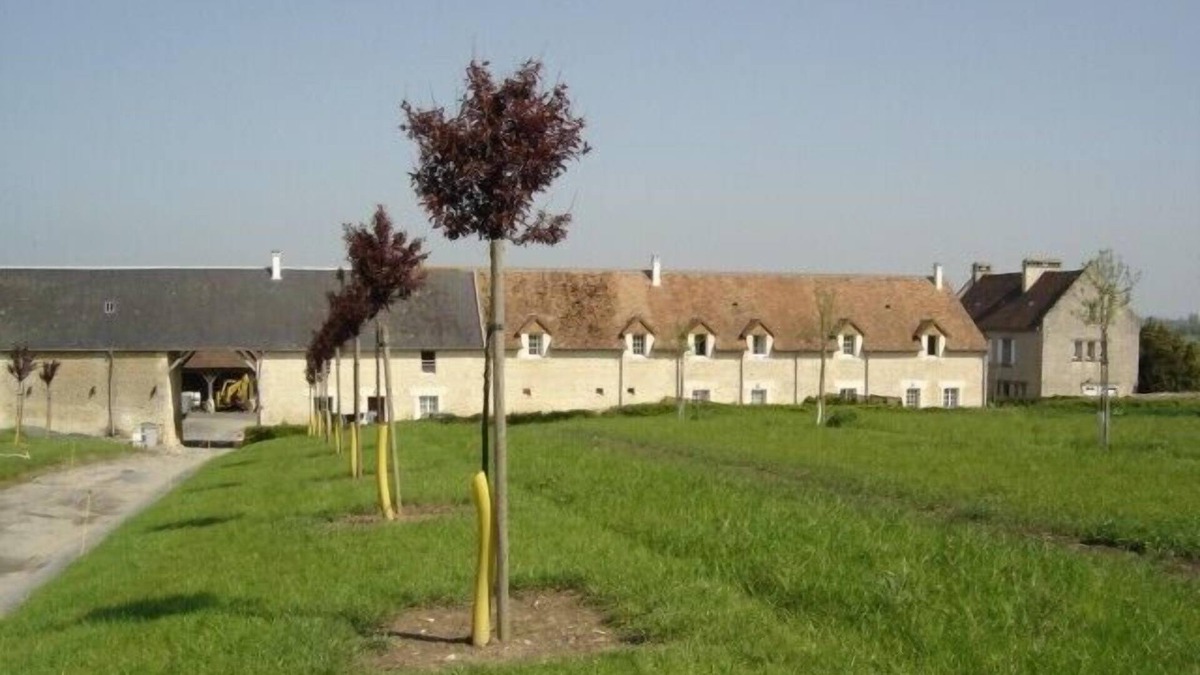 Petiville House | Bed and breakfast Clévacances 5km from Cabourg and Coast beaches
