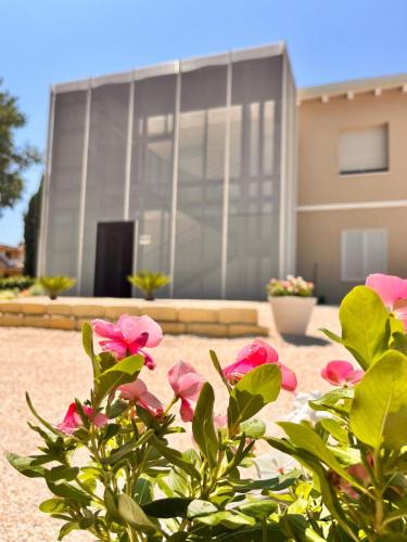 Cepagatti Bed & Breakfast | Bed and Breakfast Fonte dei nonni