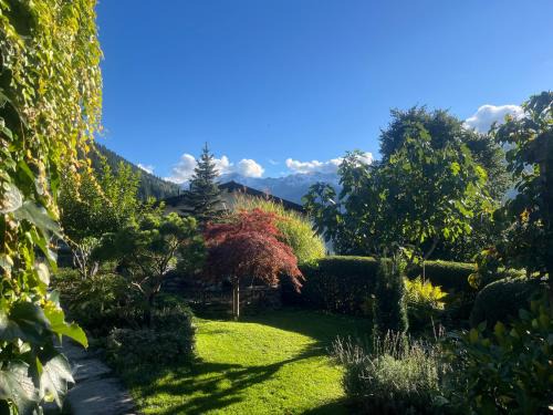 San Carlo Bed & Breakfast | Bed and Breakfast Il Cardellino