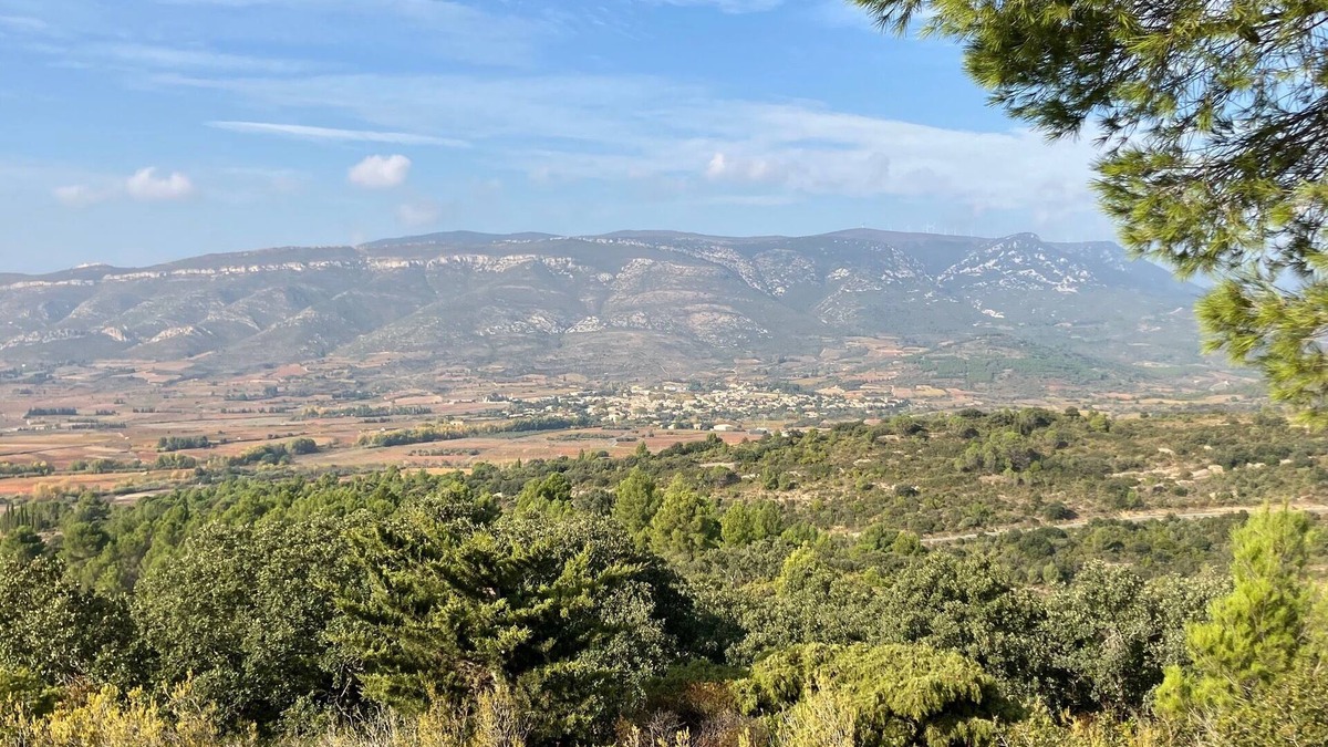 Tuchan Bed & Breakfast | Bed and breakfast : Les maisons de Gaïa