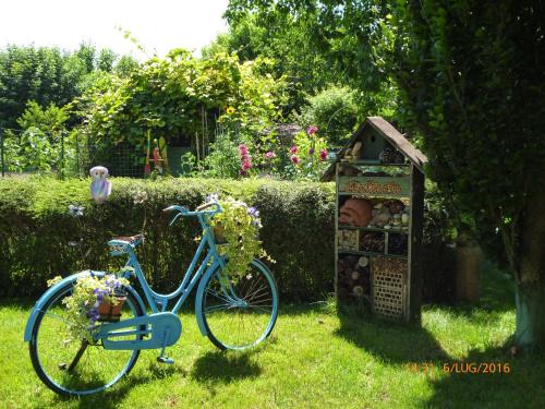 Montagnana House | Bed & Bike Belfiore