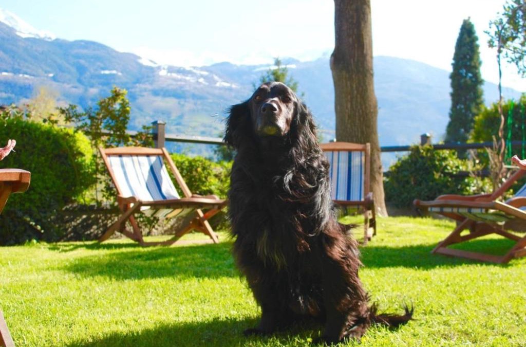 Aosta House | Bed & Breakfast Chez Berry
