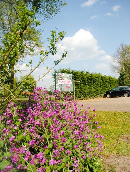 Municipality of Landerd Bed & Breakfast | Bed & Breakfast de Kreitsberg