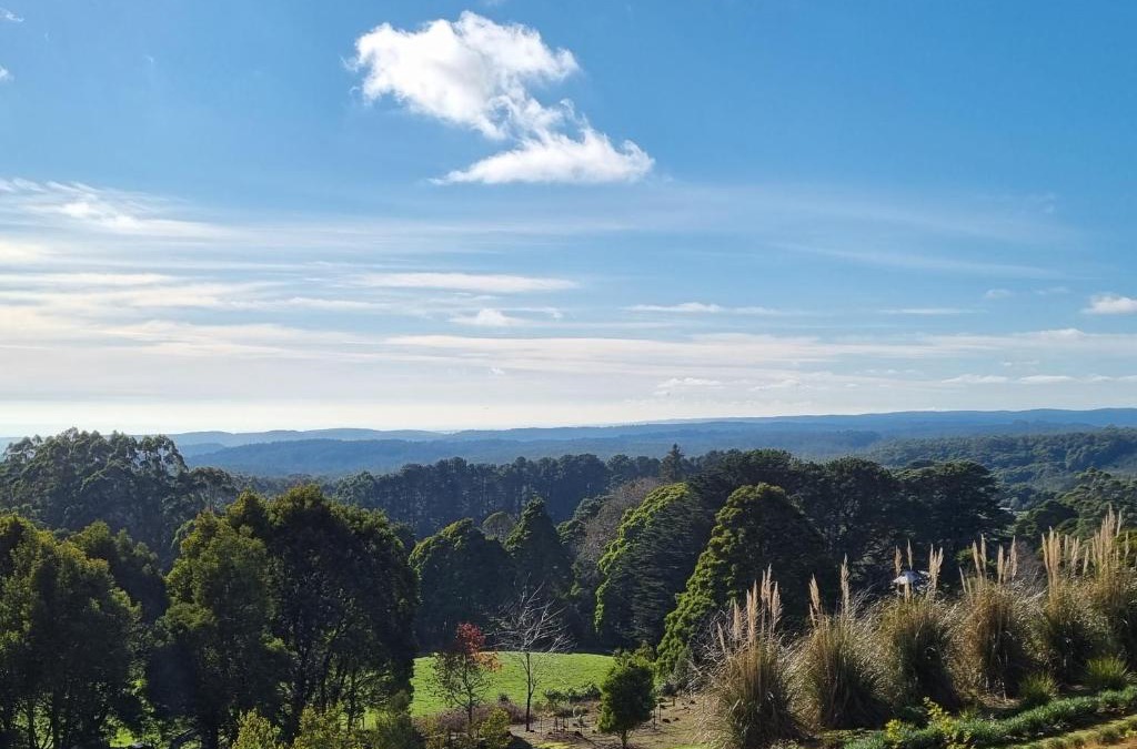 Beech Forest House | Beech Forest Cottage (Cozy Otways Accommodation)