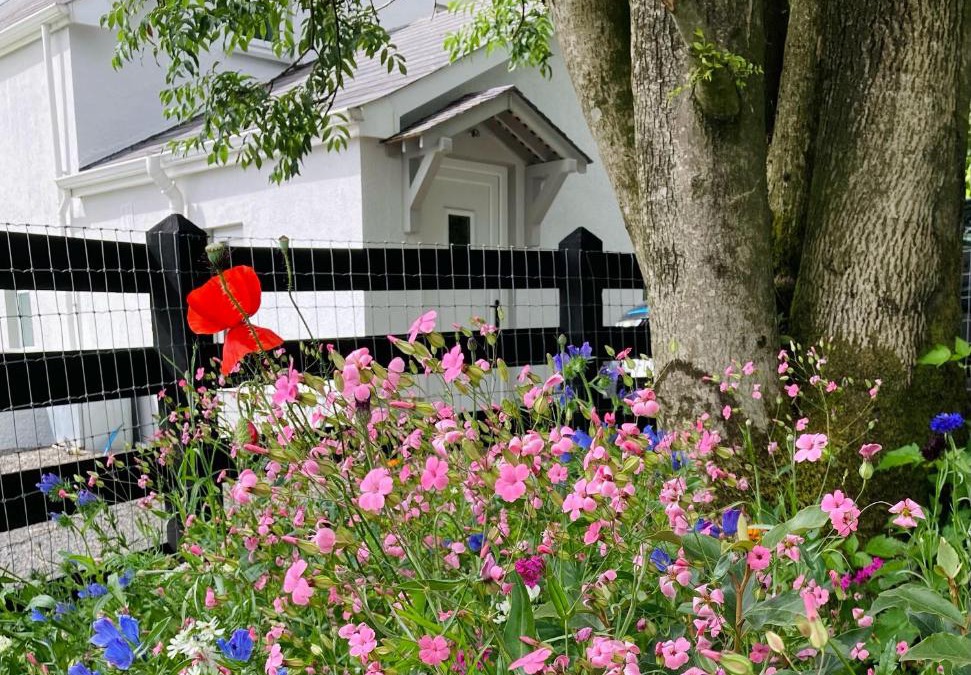 Lisnagunogue House | Beech Tree Cottage