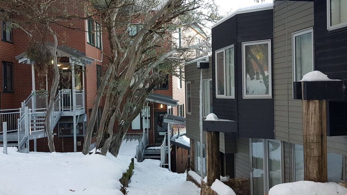 Mount Buller Apartment | BEEHIVE 18: Mt Buller Village - SKI IN/SKI OUT Burke Street Run