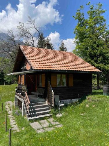 Netstal Apartment | Behagliches Chalet mit Kaminofen umgeben von Natur