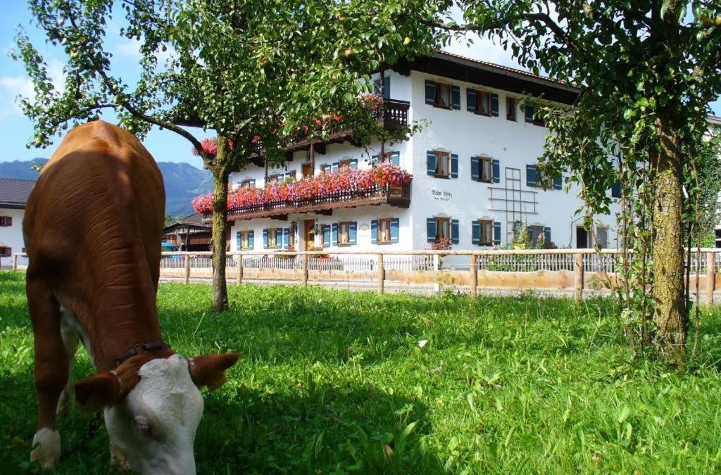 Schleching House | Beim Lenz