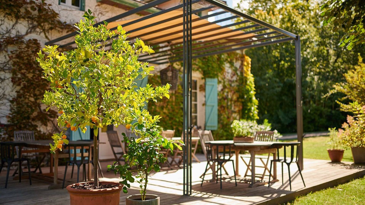 Castets House | Bel Air Maison D'hôtes des Landes