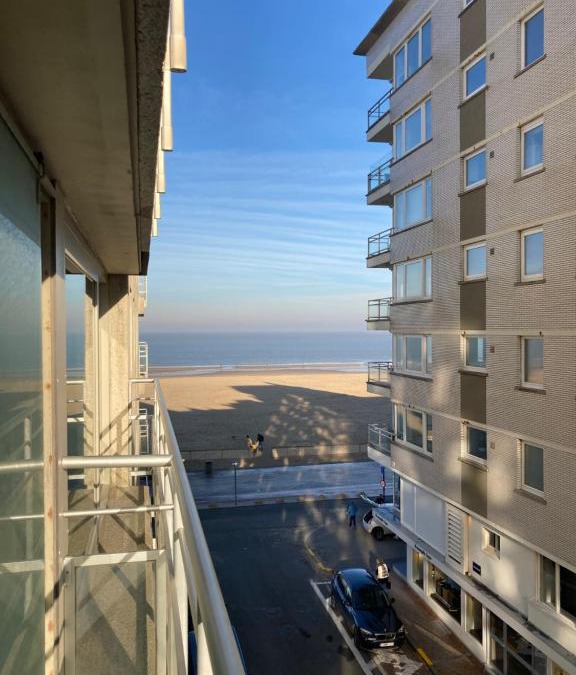 Het Zoute Apartment | bel appartement à 100m de la plage