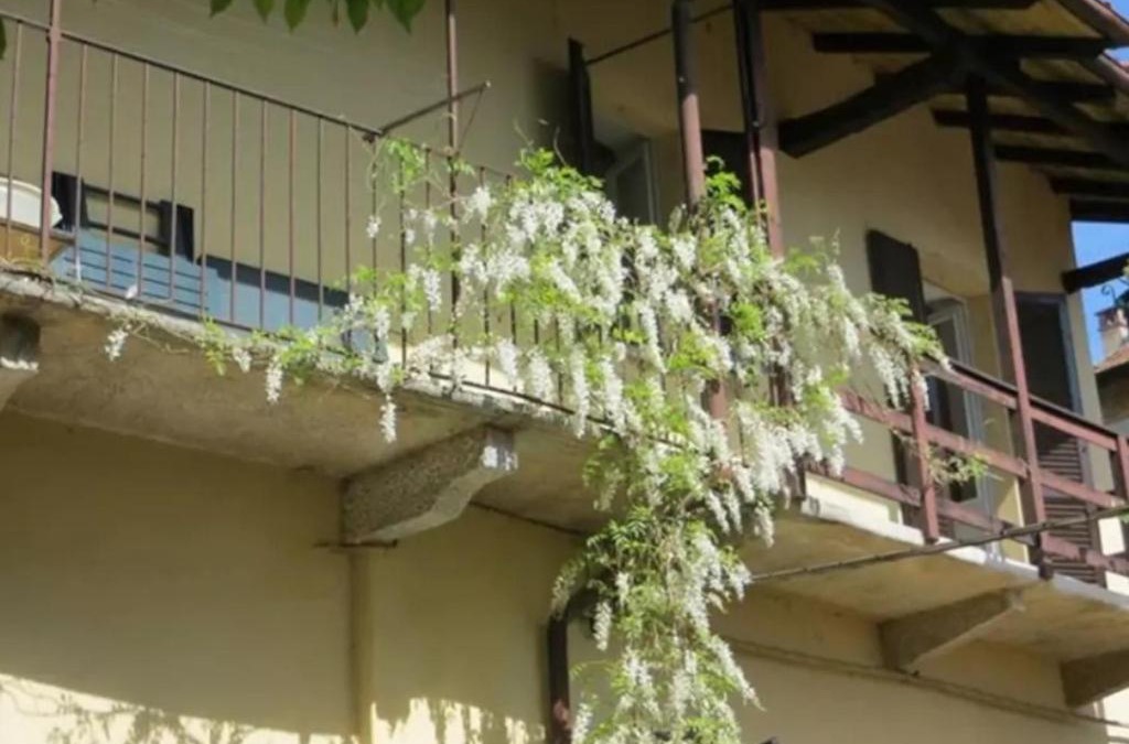 Belgirate House | Belgirate il Lavatoio