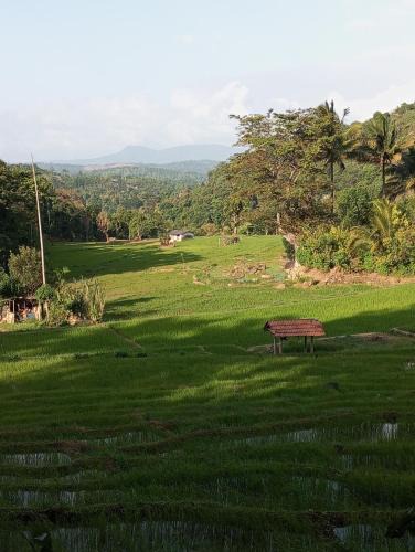 Belihuloya Cabin | Belihuloya Escape and Cafe