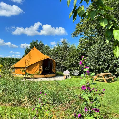 Nederweert-Eind Other | Bell Tent in een Voedselbos