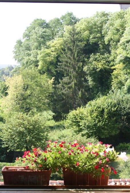 Aubeterre-sur-Dronne House | Bella Vista