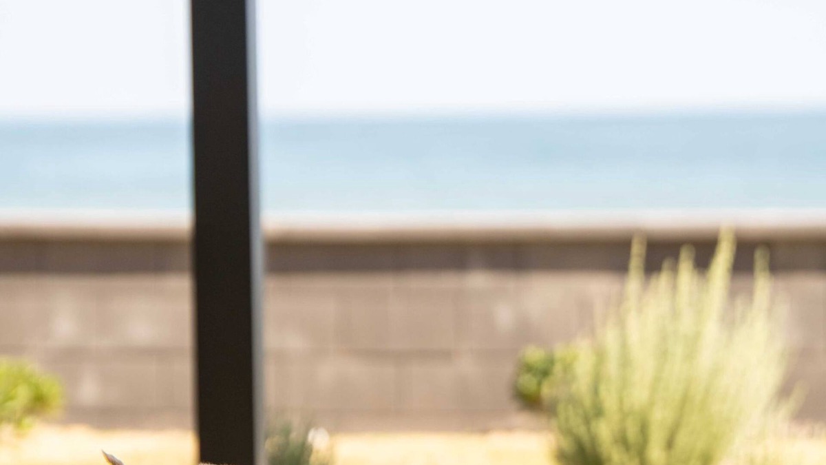 West Beach House | Belle Escapes - Sea Glass Cottage on the Esplanade