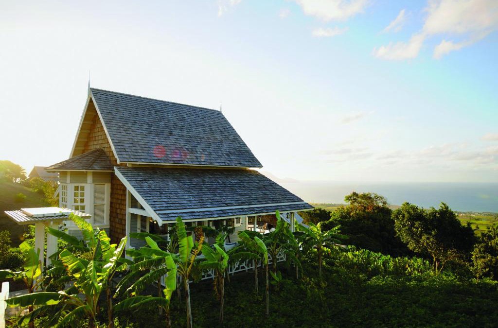 Saint Pauls Resort | Belle Mont Sanctuary Resort - Kittitian Hill