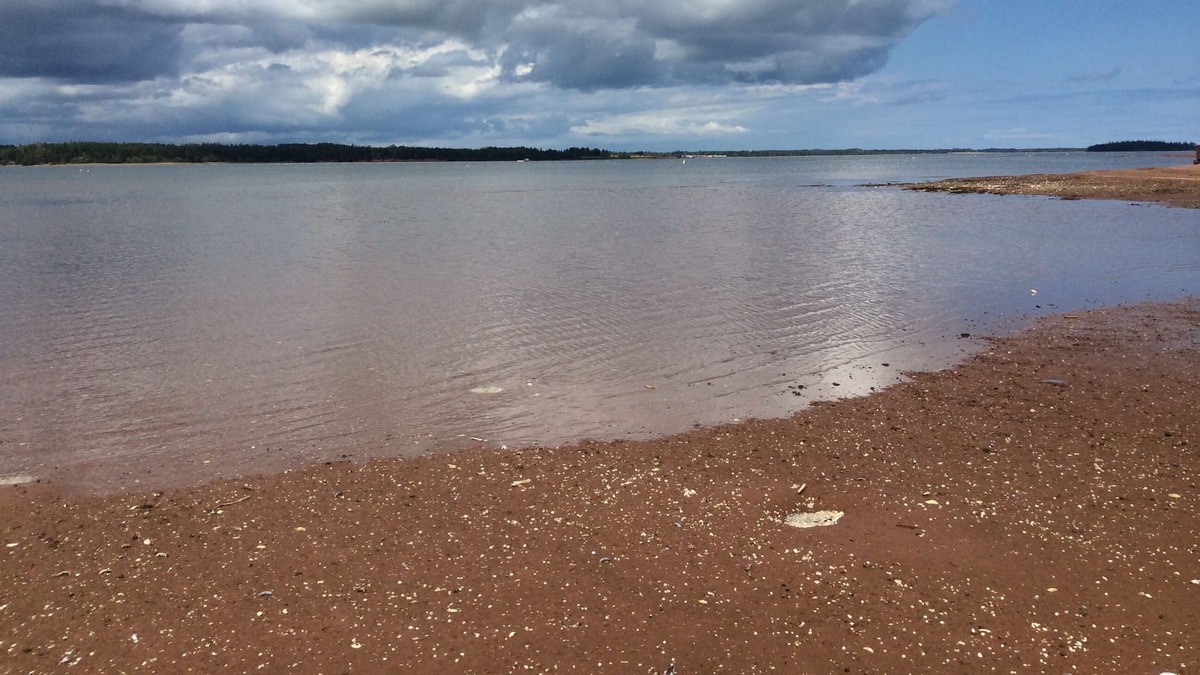 Murray Harbour Cottage | Belleview Beach House cottage with more than 1500 feet waterfront beach....