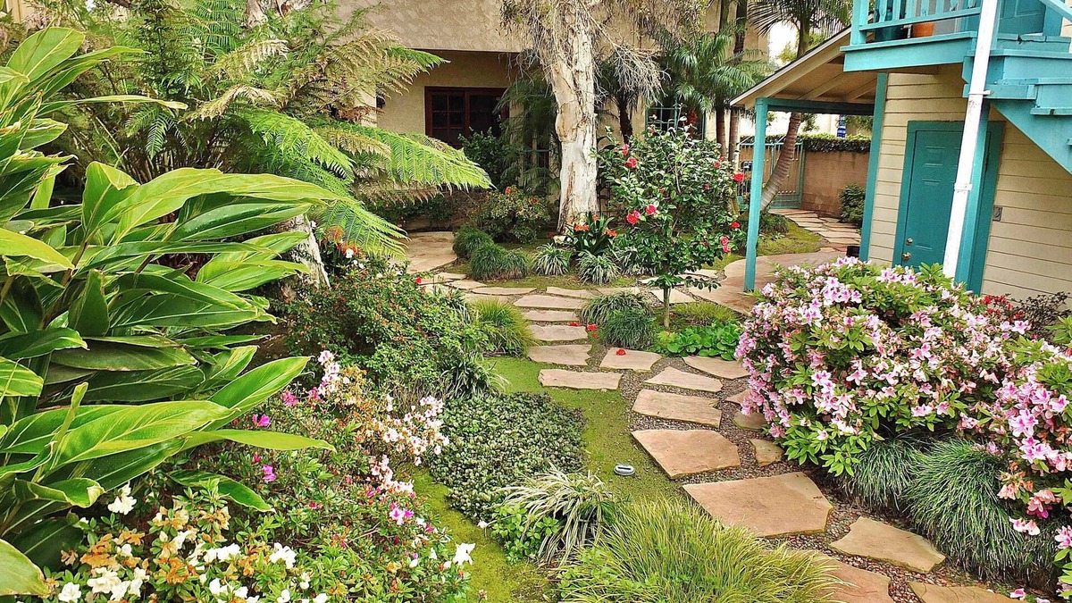 Belmont Heights House | Belmont Heights Retreat Stunning Gardens