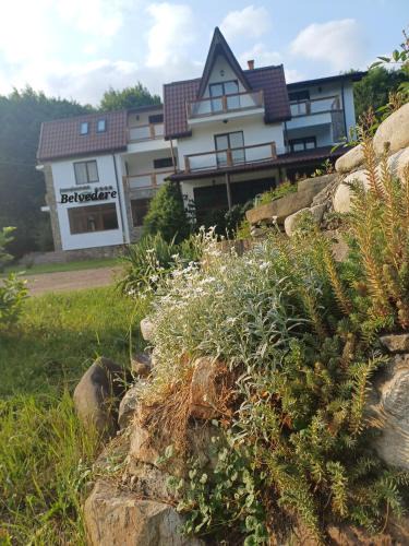 Lepsa House | Belvedere Gresu