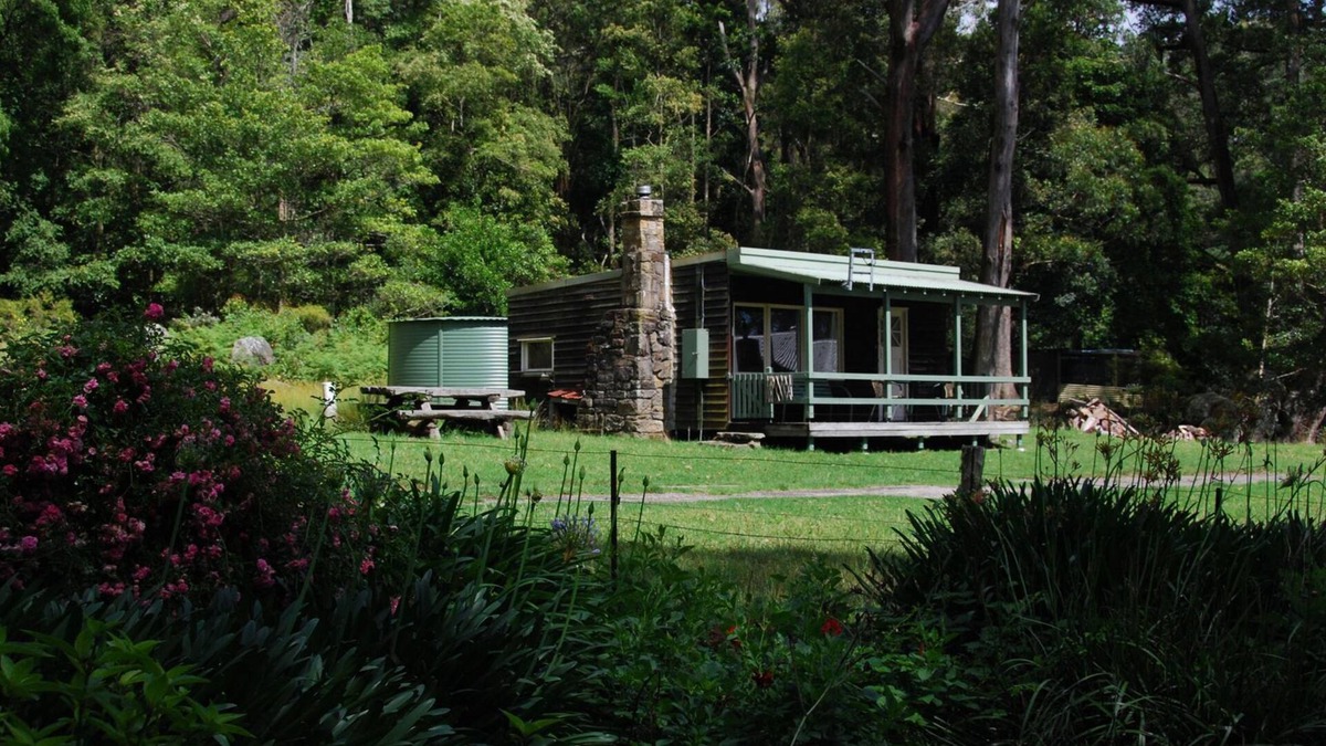Budderoo Cabin | Ben Ricketts Environmental Preserve - quiet mountain hideaways