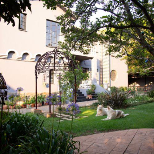 Baileys Muckleneuk Bed & Breakfast | Ben's Bed and Breakfast