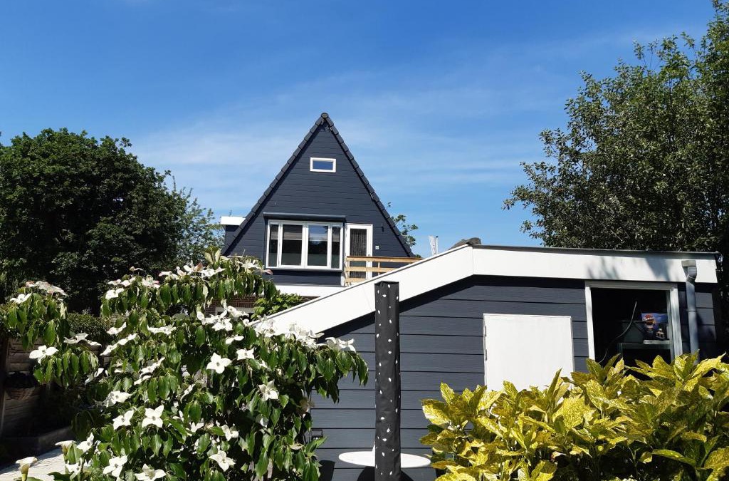 Alkmaar House | BenB Humblebee