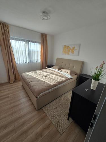 Alba Iulia House | Benchea's House