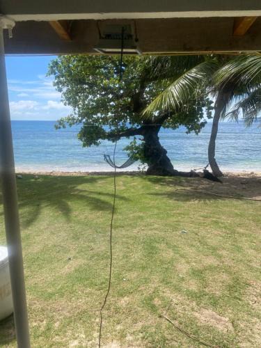 Wayasewa Island House | benjamin homestay