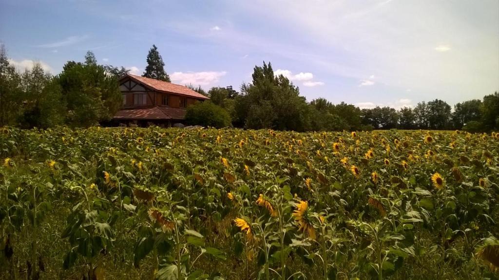 Lagraulet-du-Gers Bed & Breakfast | Berdale