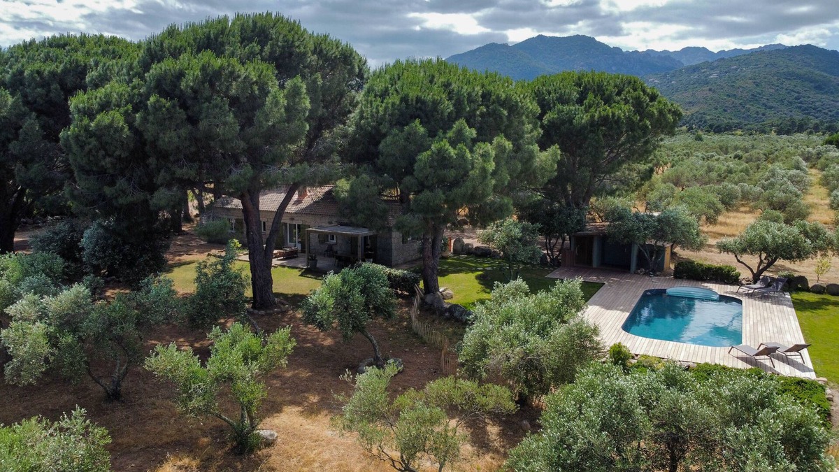 Porto-Vecchio House | Bergerie avec piscine situé en plein coeur d'une oliveraie