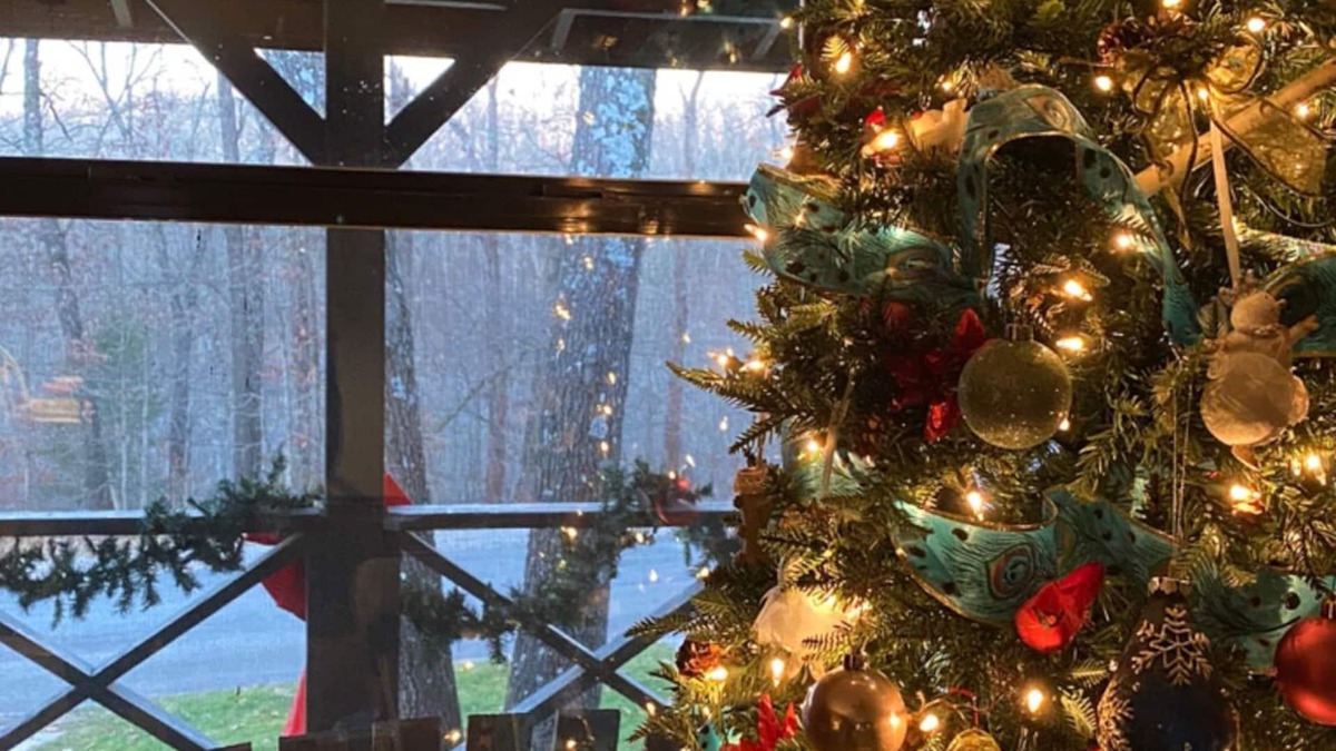 Bella Vista House | BEST Back 40 Cabin in the Woods! MTB, Hike, or just relax. Peaceful and cozy