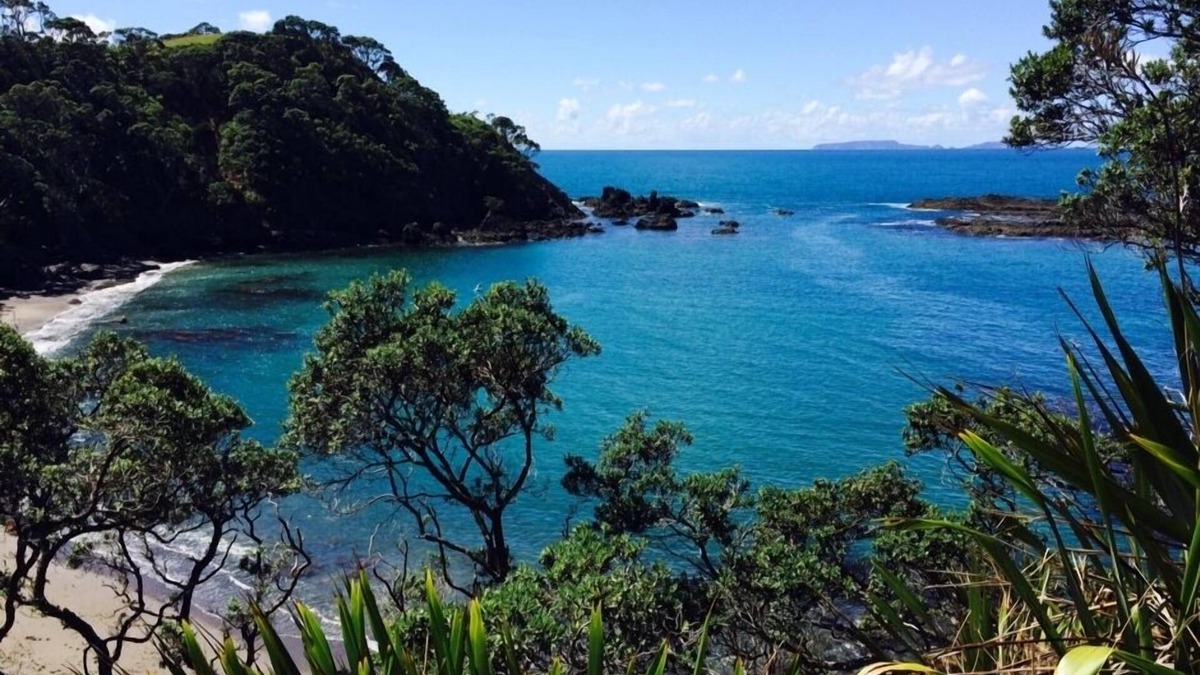 Whananaki House | Best Setting Bronze Winner Bookabach awards, Private beach, incredible views