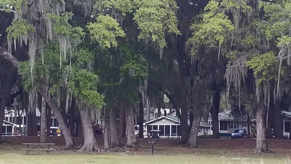 Salt Springs Cabin | Best view cottage at Salt Springs Resort