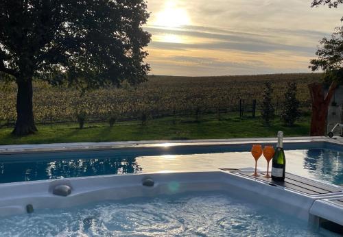 Saint-Thierry Apartment | Best view, pool and spa on the Champagne vineyard