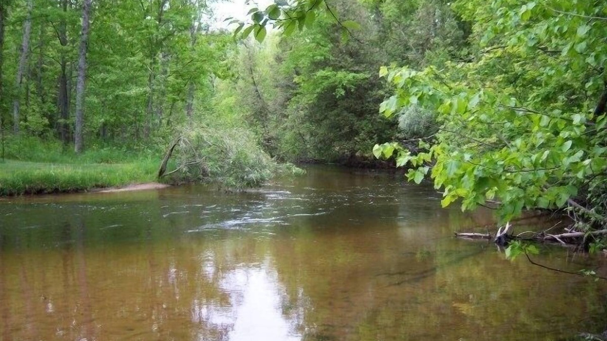 Thompsonville Cabin | Betsie River Frontage with view of Crystal Mt.