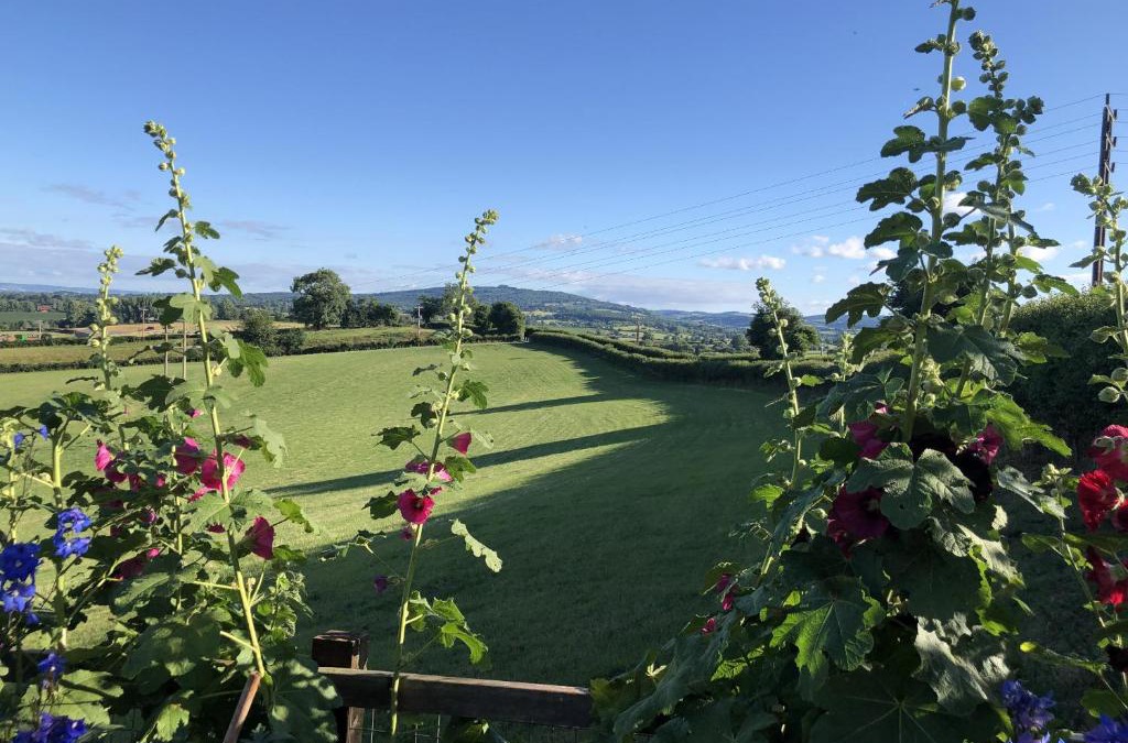 Newent Apartment | Betula Views Studio