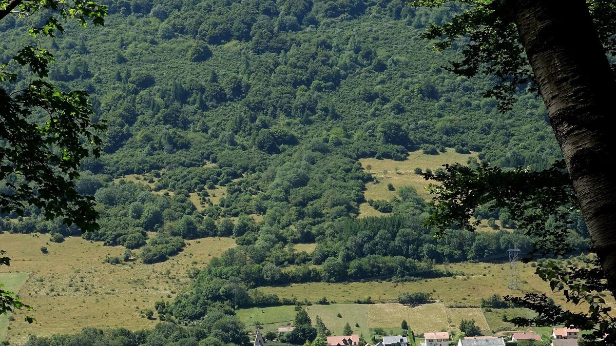 Saint-Jean-de-Vaulx House | Between lakes and mountains