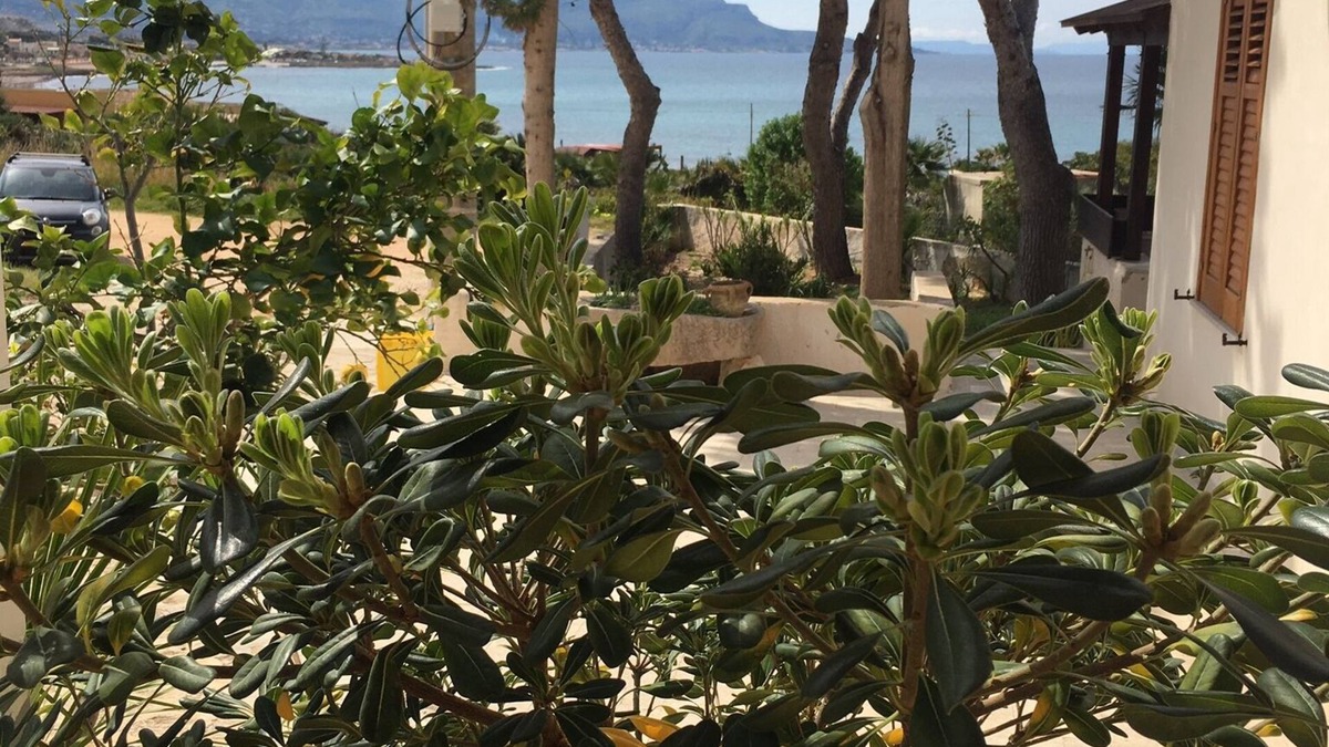 Cornino House | Between sea and nature, in an open-air museum