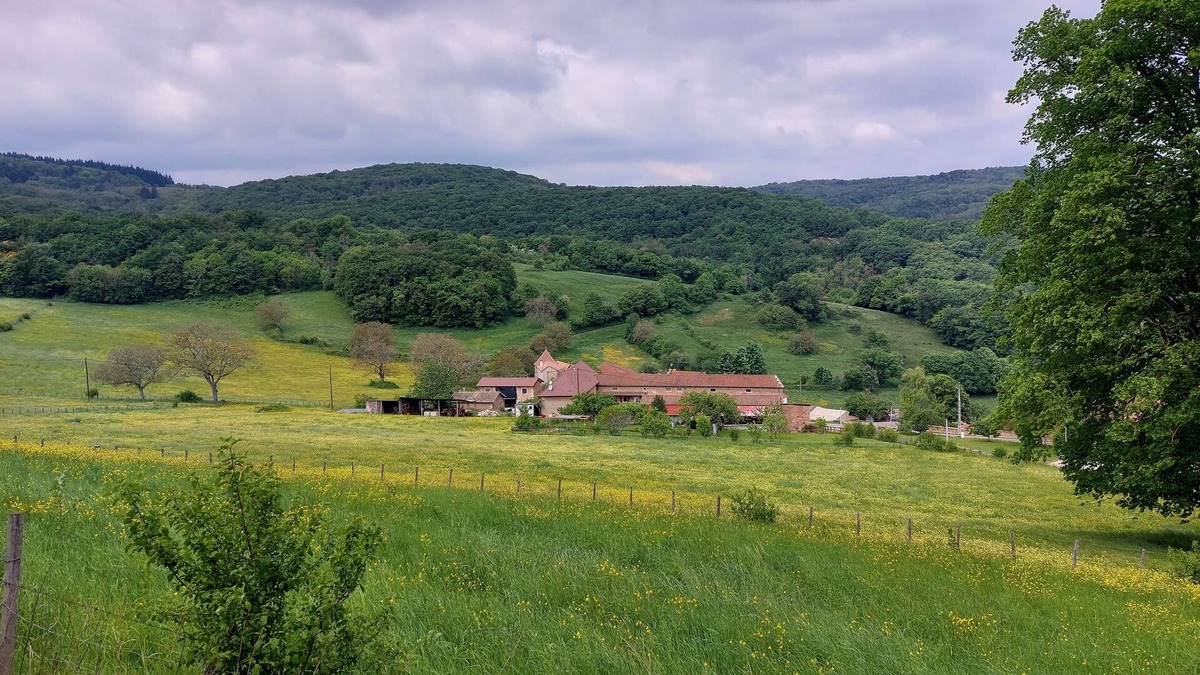 Aze House | Between vineyards and forests in the Mâconnais