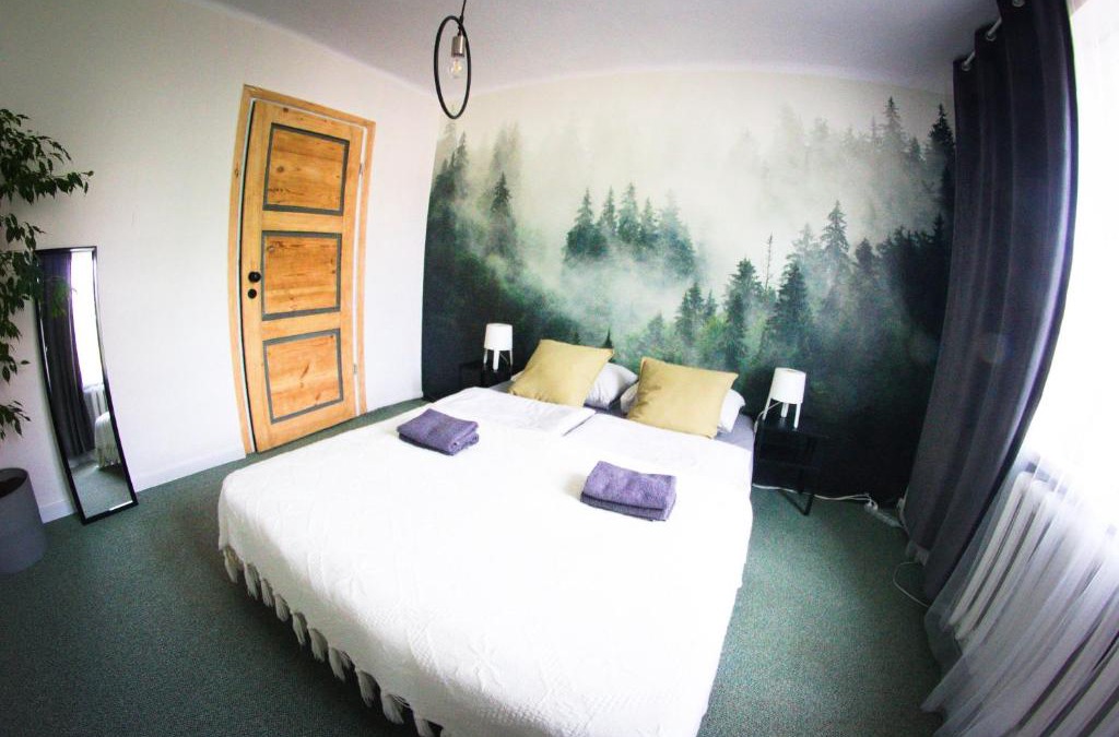 Olszanica House | Bezpieczna Przystań - Apartamenty-balia, sauna, narty