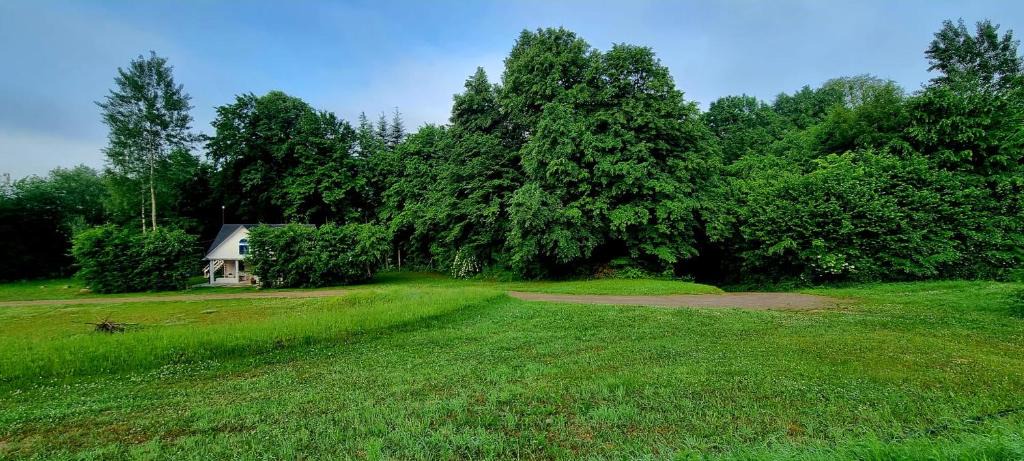 gmina Szczebrzeszyn House | Biała chatka w lesie na Roztoczu