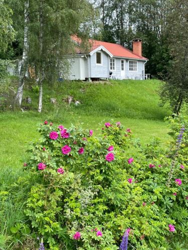 Jarvso House | Bialett