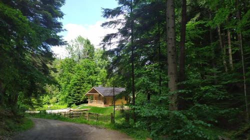 Lesko Cabin | Bieszczady Domek Nad Stawem