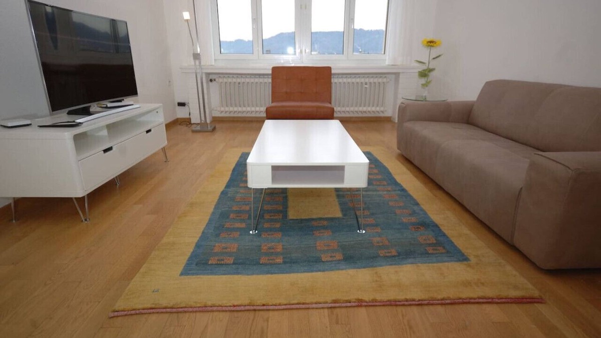 Muhlebach Apartment | Big 1BR apartment in the center (Mill 3.55)