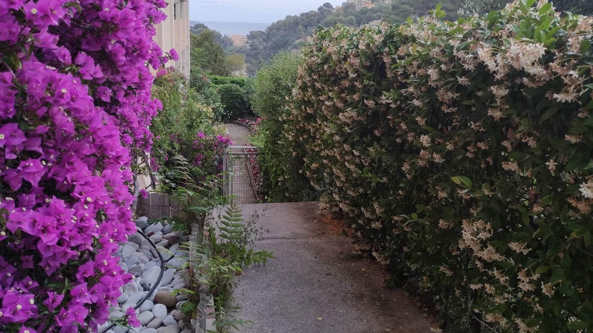 Saint Antoine Apartment | Big appartement of 4 rooms in Nice