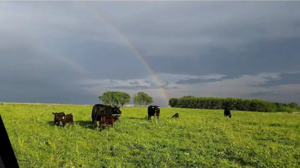 Spring Valley Other | Big Barn Mow