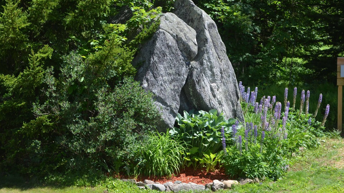 West Dover Bed & Breakfast | Big Bears Lodge