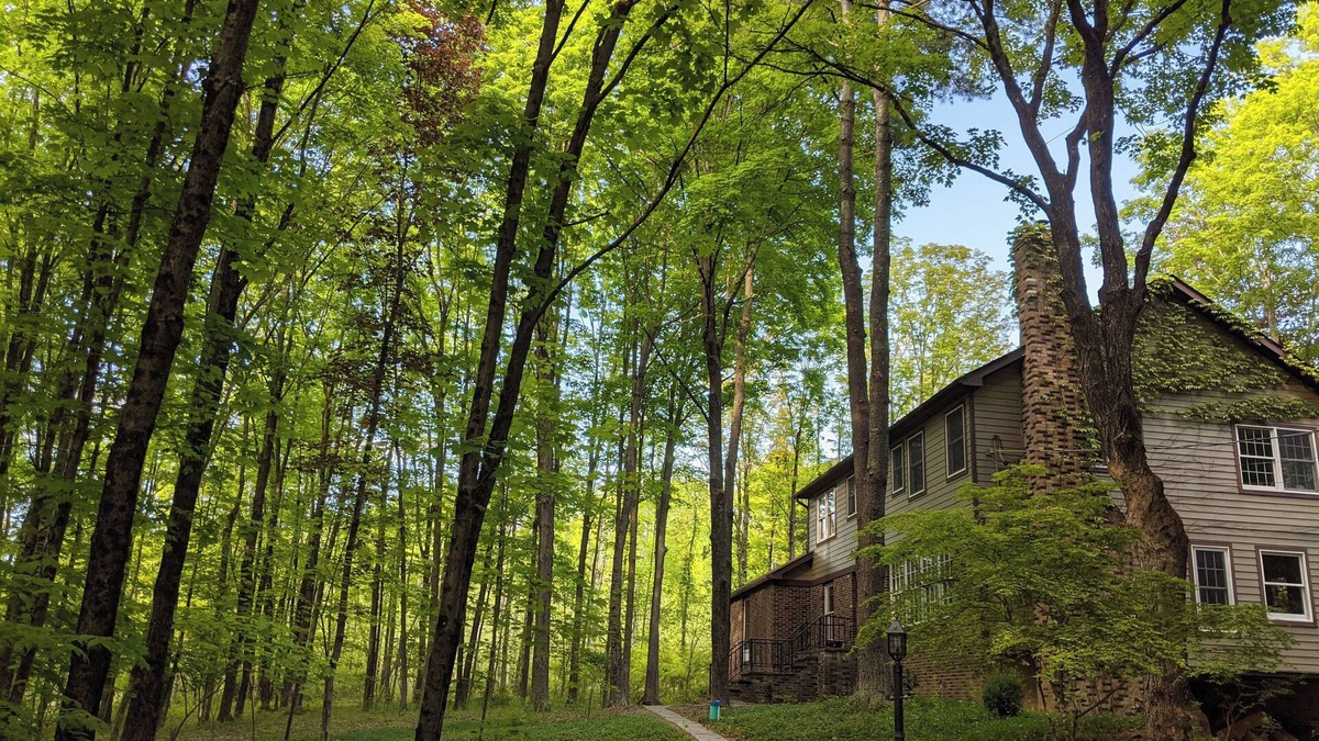 New Paltz House | Big, Beautiful Home in the Woods - 2 minutes from New Paltz Village